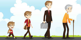 Financial Planning for Different Life Stages: What You Should Know in Your 30s, 40s, and 50s